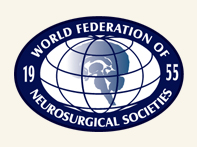WFNS 2019 - World Federation of Neurosurgical Societies Interim Meeting