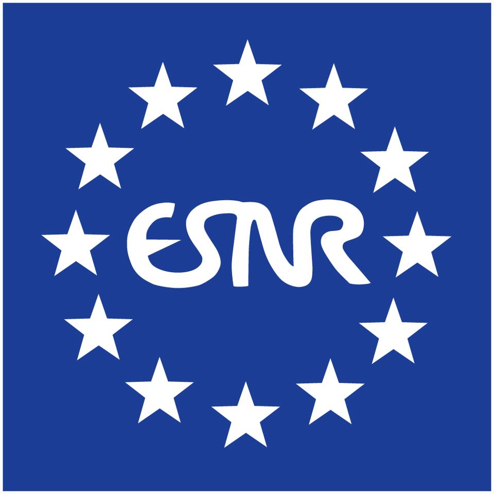 ECNR COURSE 2024 - 17th Cycle of the European Course in Neuroradiology
